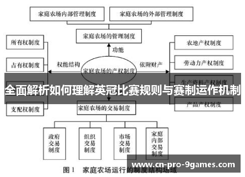 全面解析如何理解英冠比赛规则与赛制运作机制